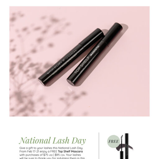 AloetteFlyerSales-NationalLashDay.jpeg