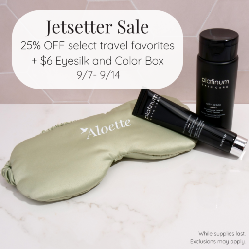 jetsetter sale.png