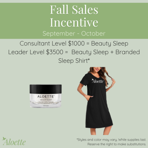 sep_aug sales incentive.png