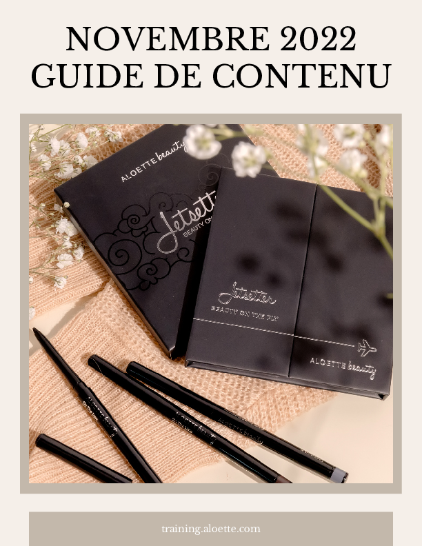 Guide_Contenu_Novembre2022_FR.pdf